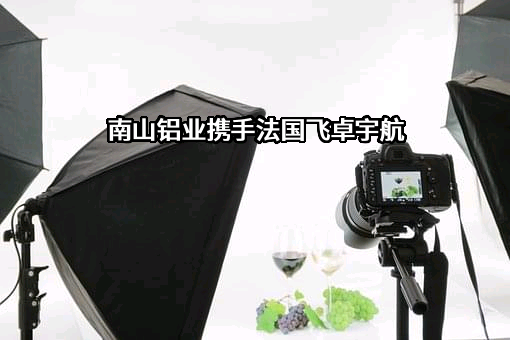 山东南山铝业股份有限公司