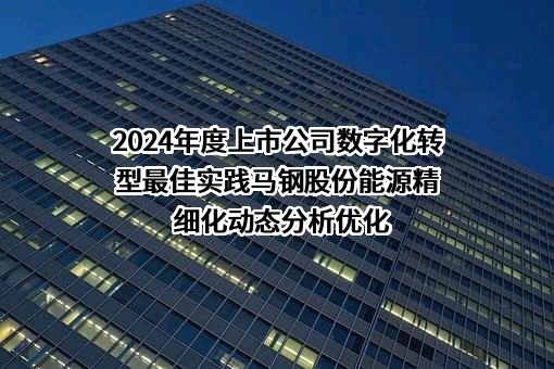 2024年度上市公司数字化转型最佳实践马钢股份能源精细化动态分析优化