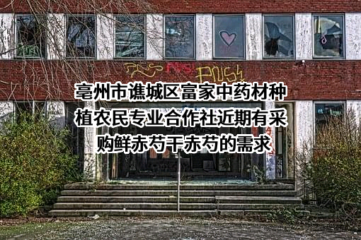 亳州市谯城区富家中药材种植农民专业合作社近期有采购鲜赤芍干赤芍的需求