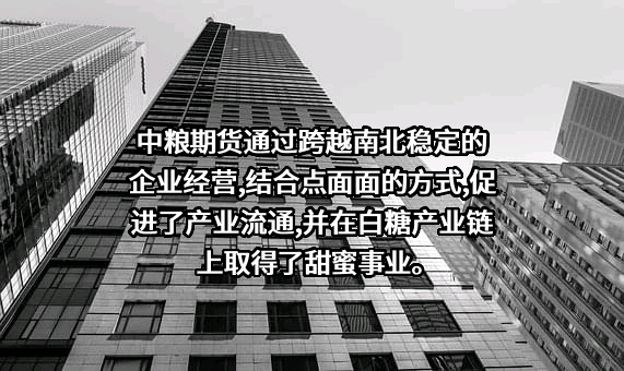 中粮期货有限公司