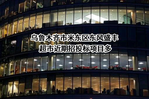 乌鲁木齐市米东区东风盛丰超市