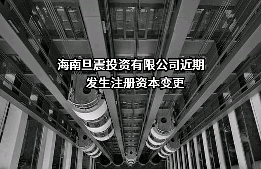 海南旦震投资有限公司