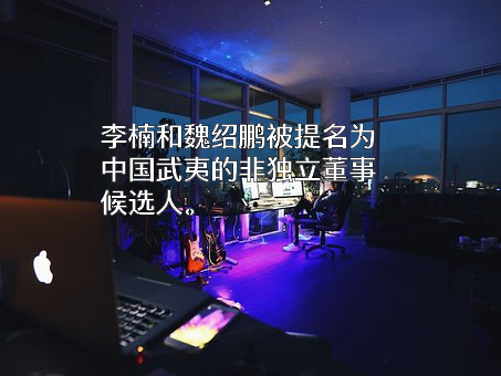 中国武夷实业股份有限公司