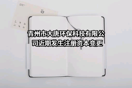 青州市大唐环保科技有限公司
