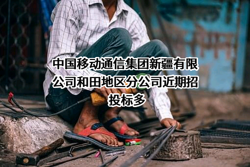 中国移动通信集团新疆有限公司和田地区分公司