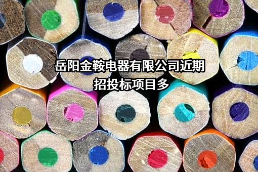 岳阳金鞍电器有限公司近期招投标项目多