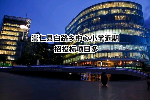 崇仁县白路乡中心小学