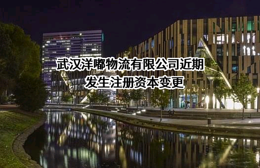 武汉洋嘟物流有限公司