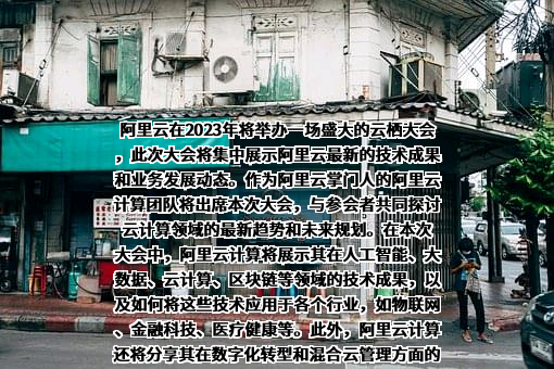 阿里巴巴集团控股有限公司