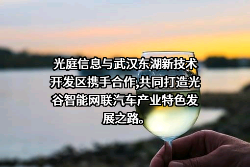 武汉光庭信息技术股份有限公司