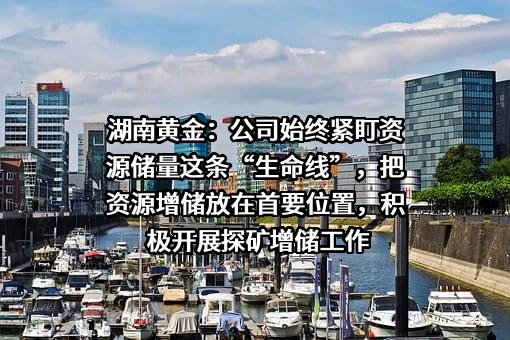 湖南黄金股份有限公司
