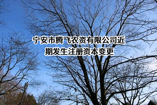 宁安市腾飞农资有限公司