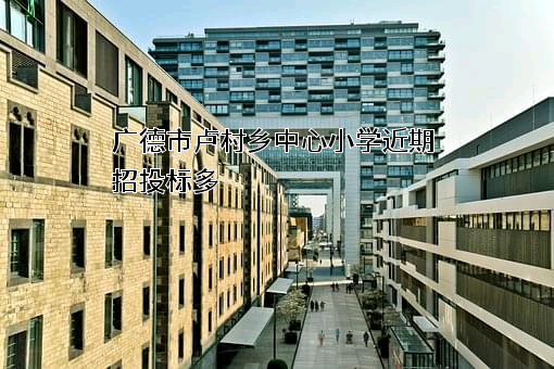 广德市卢村乡中心小学近期招投标项目多