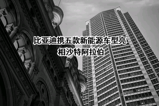 比亚迪股份有限公司