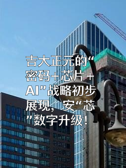 长春吉大正元信息技术股份有限公司