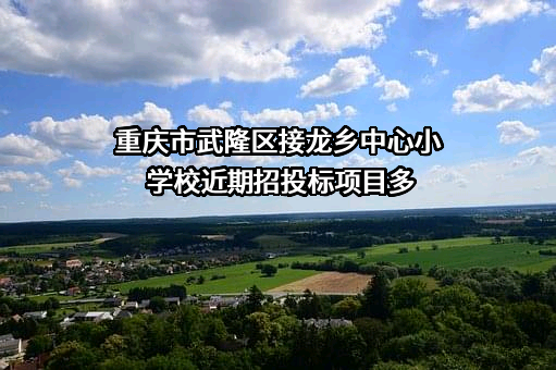 重庆市武隆区接龙乡中心小学校近期招投标项目多