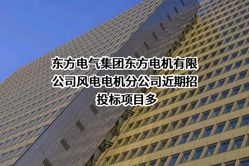 东方电气集团东方电机有限公司风电电机分公司