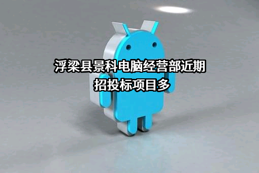 浮梁县景科电脑经营部近期招投标项目多