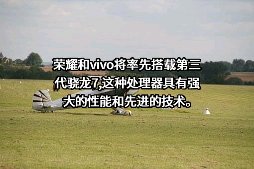 荣耀终端有限公司