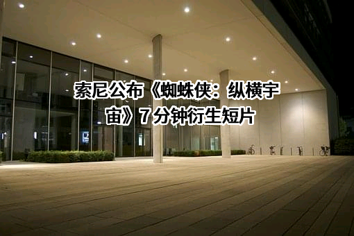 索尼（中国）有限公司