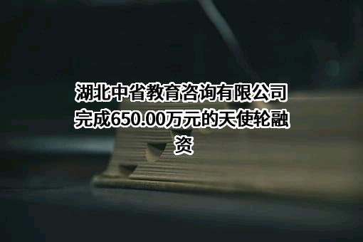 湖北中省教育咨询有限公司完成650.00万元的天使轮融资