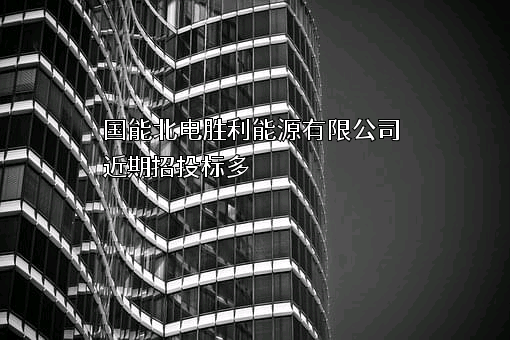 国能北电胜利能源有限公司