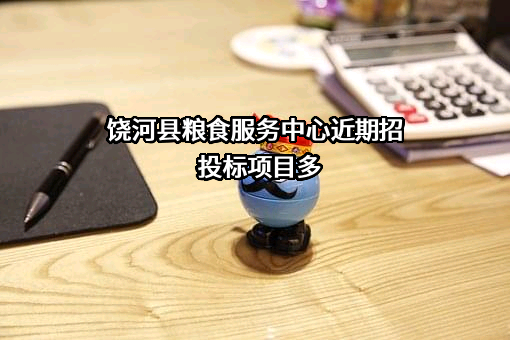 饶河县粮食服务中心近期招投标项目多
