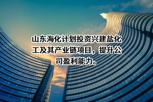 山东海化股份有限公司