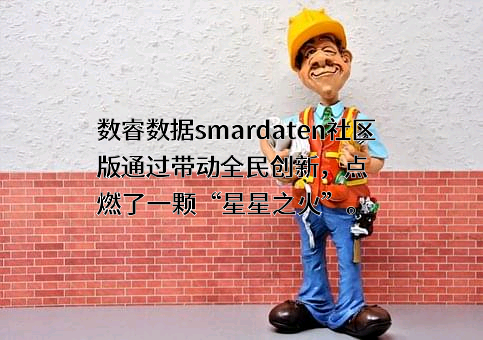南京数睿数据科技有限公司