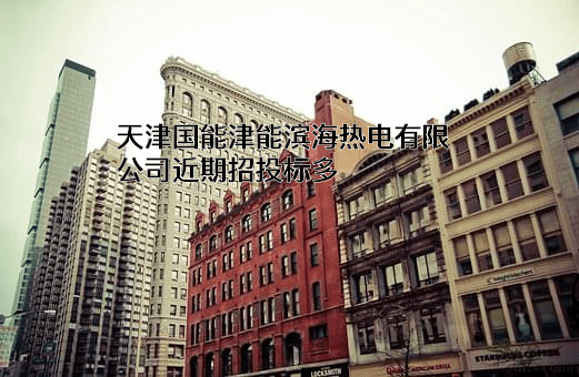 天津国能津能滨海热电有限公司