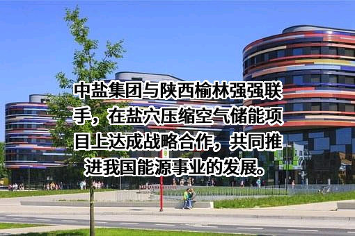 陕西榆林镁业（集团）有限公司