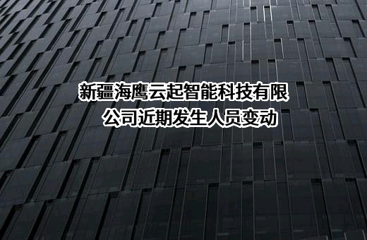 新疆海鹰云起智能科技有限公司