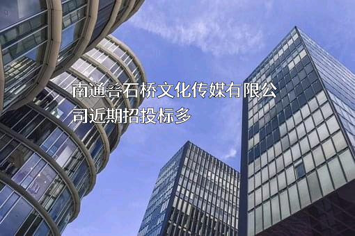 南通叠石桥文化传媒有限公司