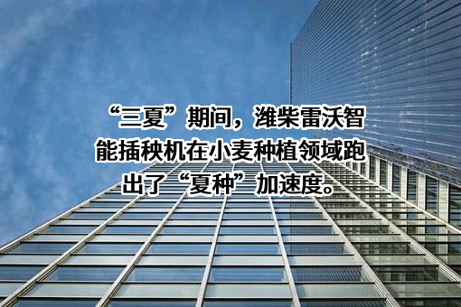 山东潍柴雷沃传动有限公司