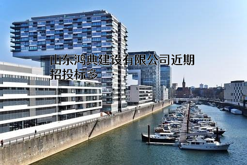 山东鸿典建设有限公司