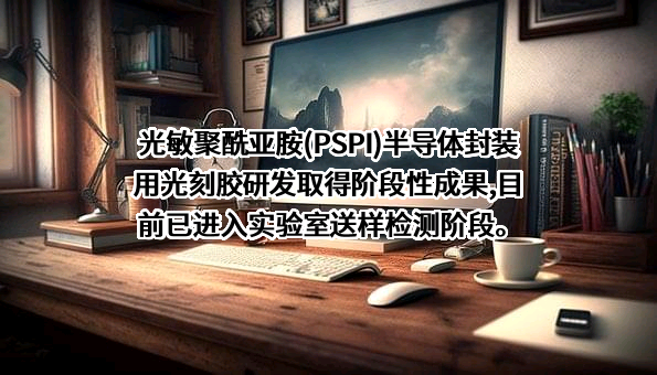 安徽国风新材料股份有限公司