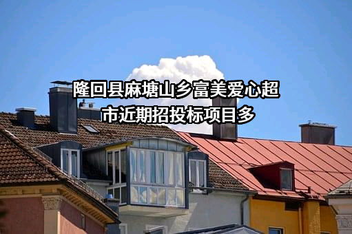 隆回县麻塘山乡富美爱心超市近期招投标项目多