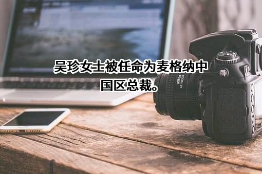 麦格纳汽车技术（上海）有限公司