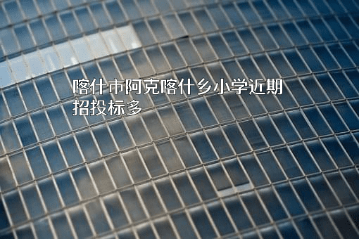 喀什市阿克喀什乡小学