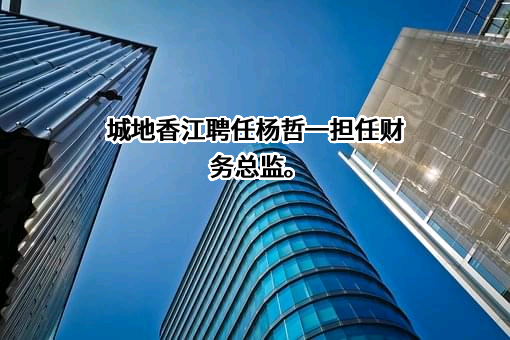 上海城地香江数据科技股份有限公司