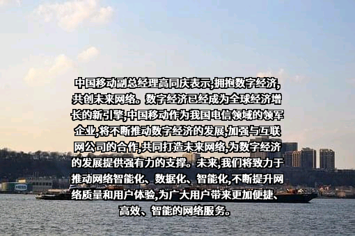 中国移动通信集团有限公司