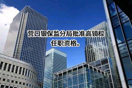 民生人寿保险股份有限公司辽宁分公司