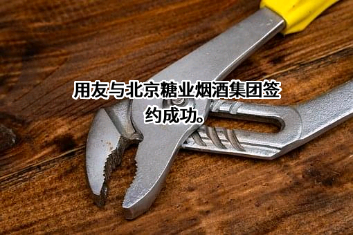 用友网络科技股份有限公司