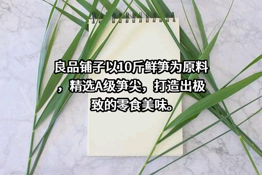 良品铺子股份有限公司