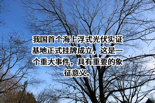 中集集光海洋科技（烟台）有限公司