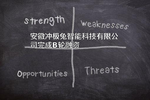 安徽冲极兔智能科技有限公司