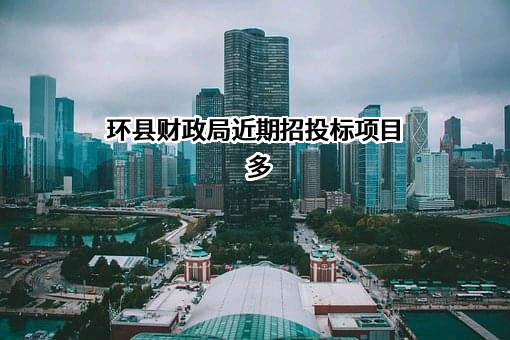 环县财政局近期招投标项目多