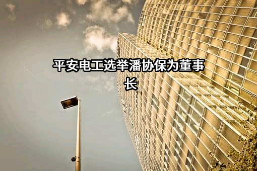 湖北平安电工实业有限公司