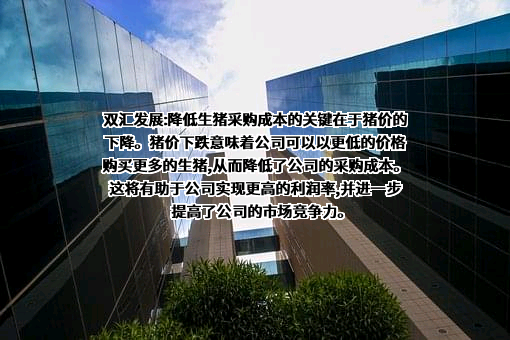 河南双汇投资发展股份有限公司