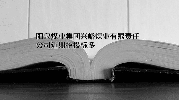 阳泉煤业集团兴峪煤业有限责任公司